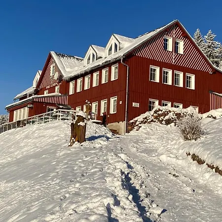 Guest house Pod Lesem 3*