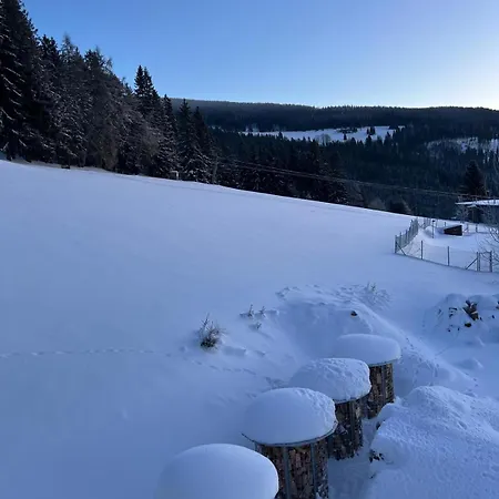 Pod Lesem Gasthof Pec pod Sněžkou