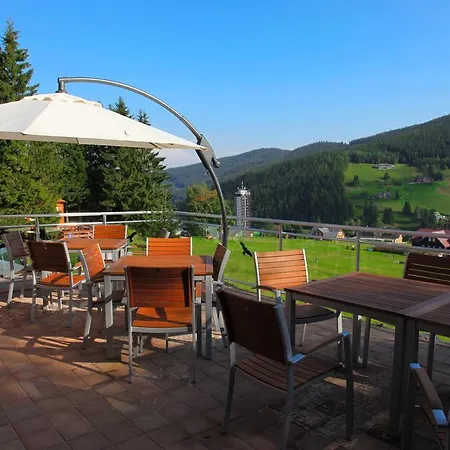 Pod Lesem Guest house