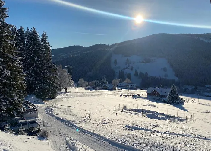 Pod Lesem Pensionat 3*